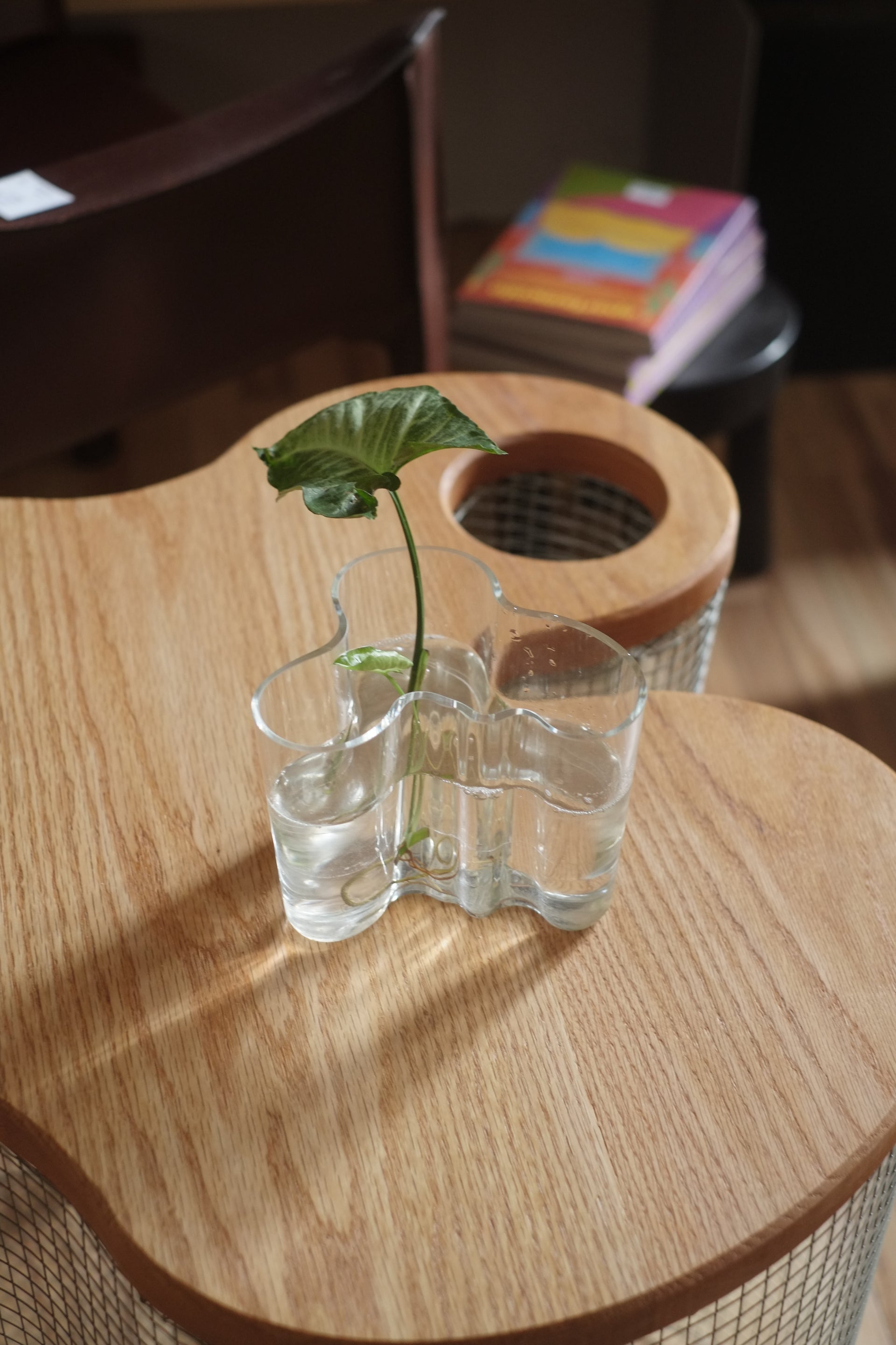 Aalto 4.75" Clear Vase by Iittala
