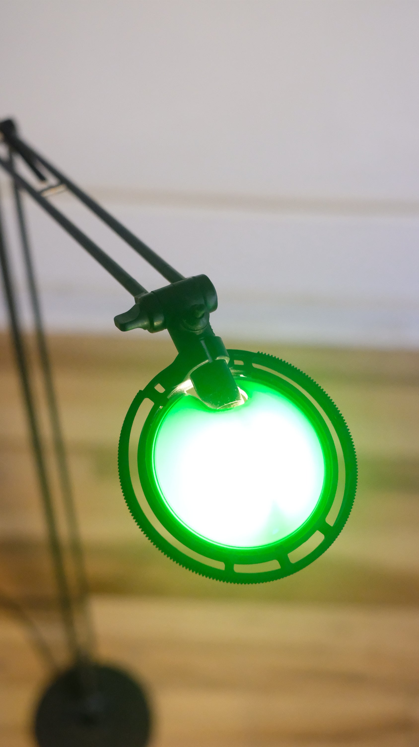 Berenice Floor Lamp by Paolo Rizzatto for Luceplan