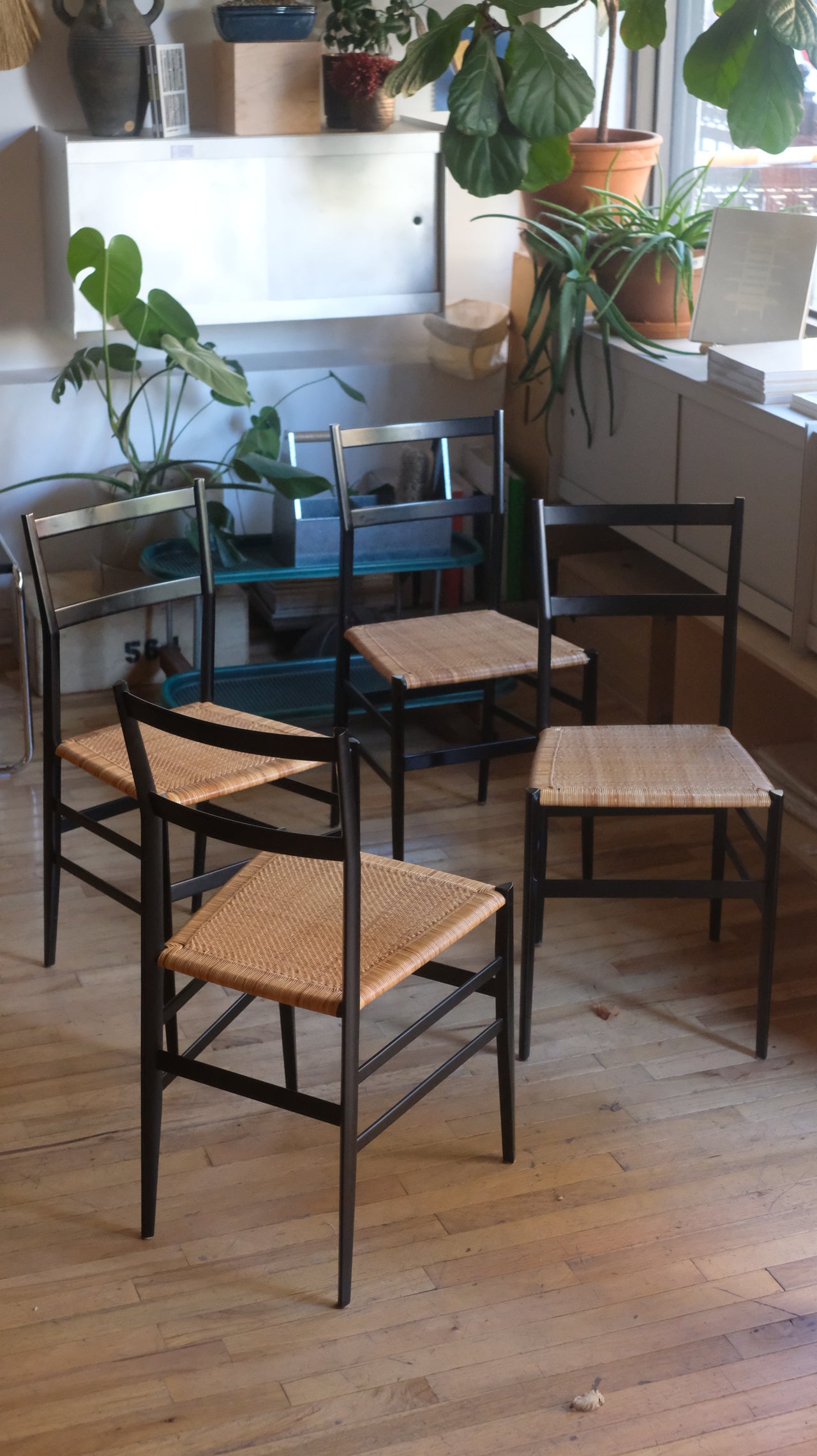 Leggera Chairs by Gio Ponti for Cassina (Set of 4)