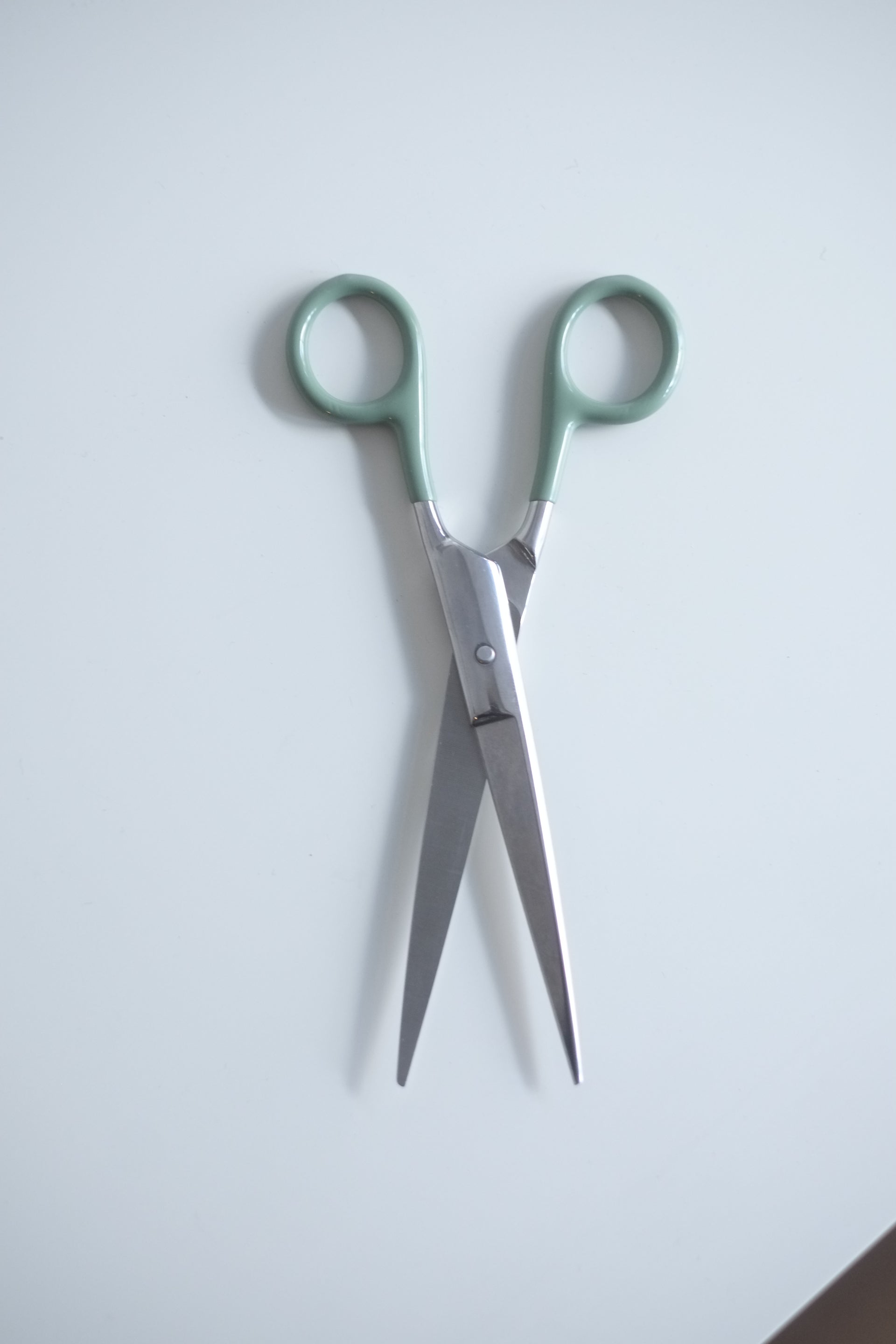 Stainless Steel Scissors by Penco