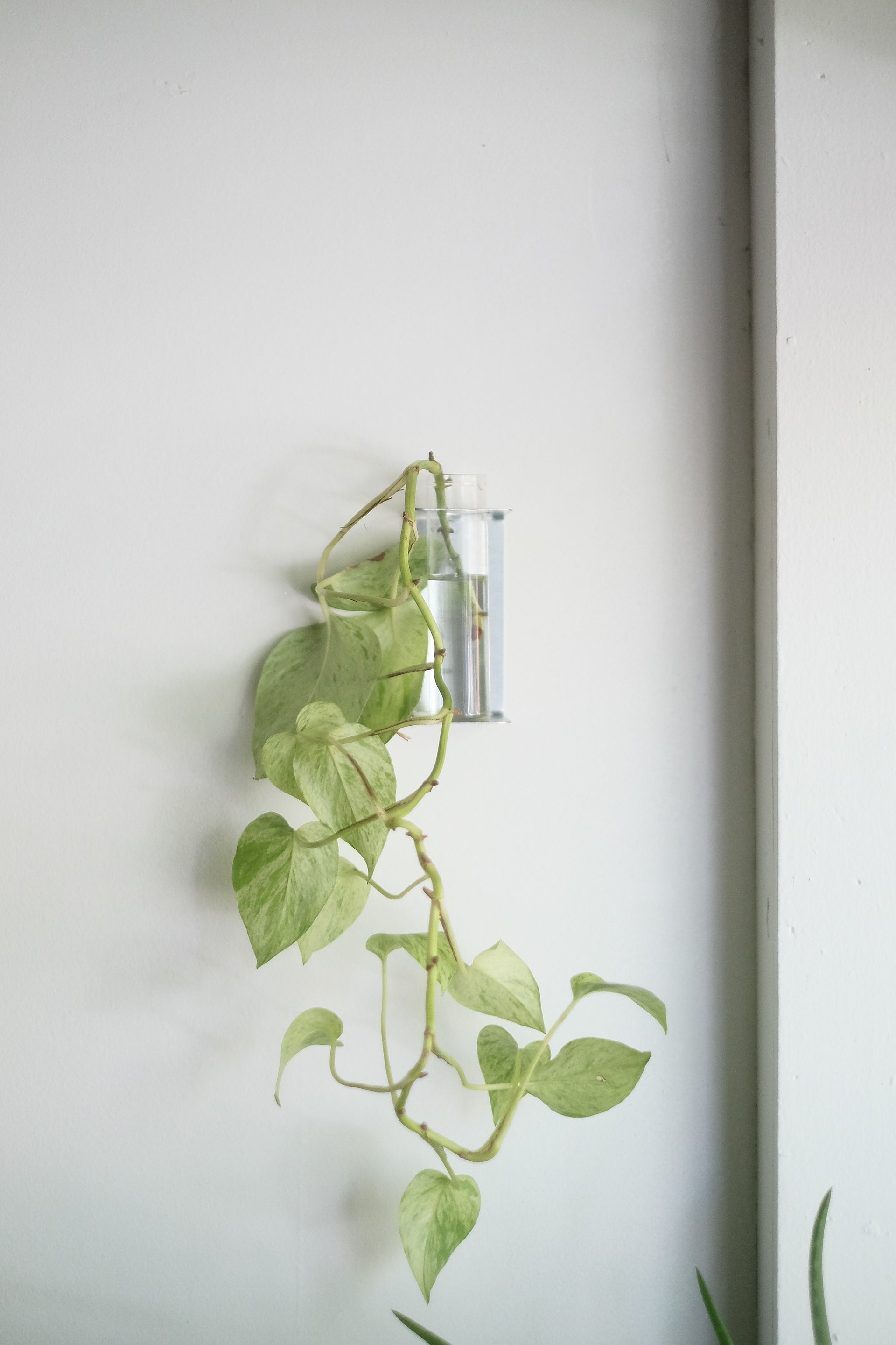 Galvanized Wall Bud Vase