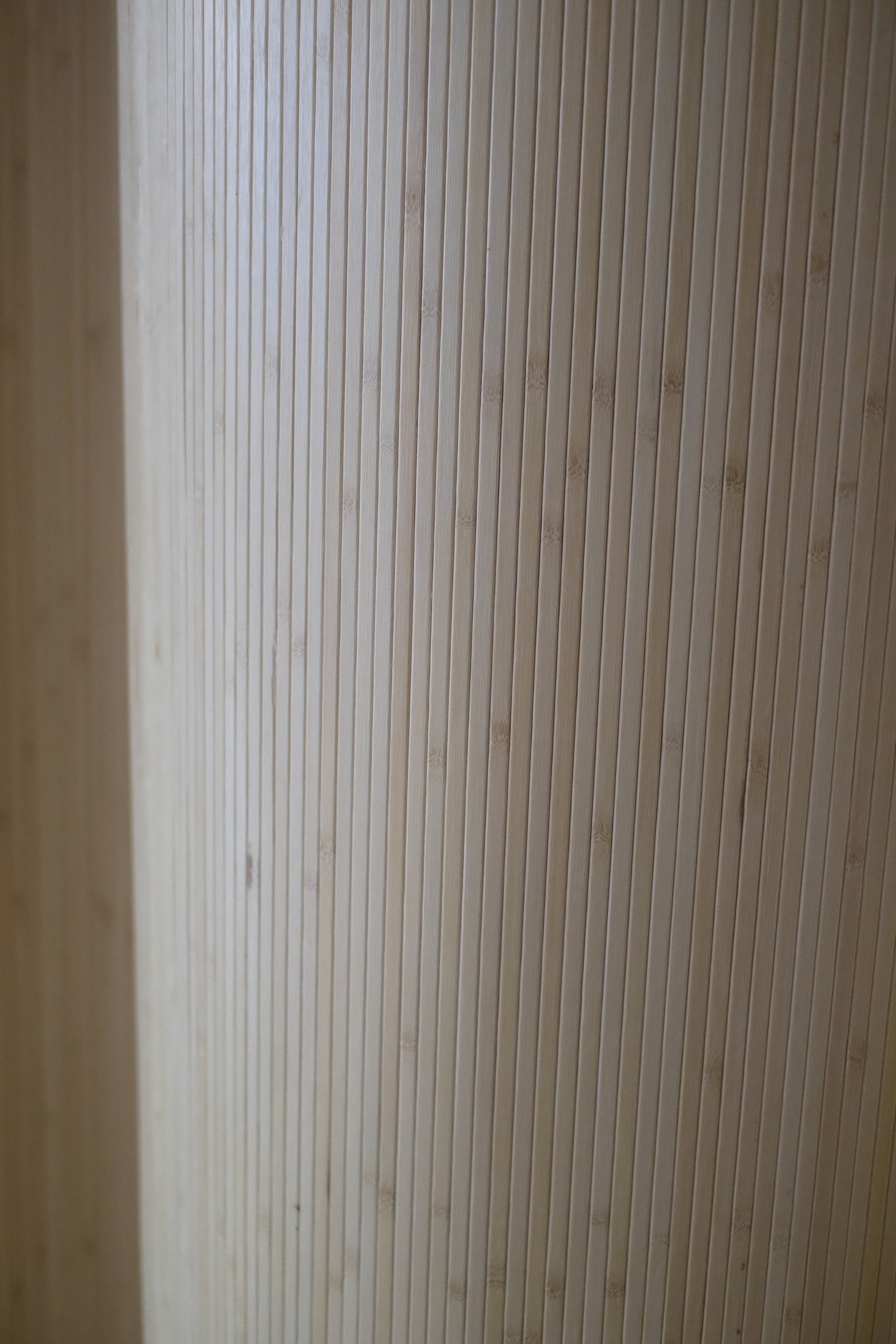 Bamboo Room Divider in HONEY