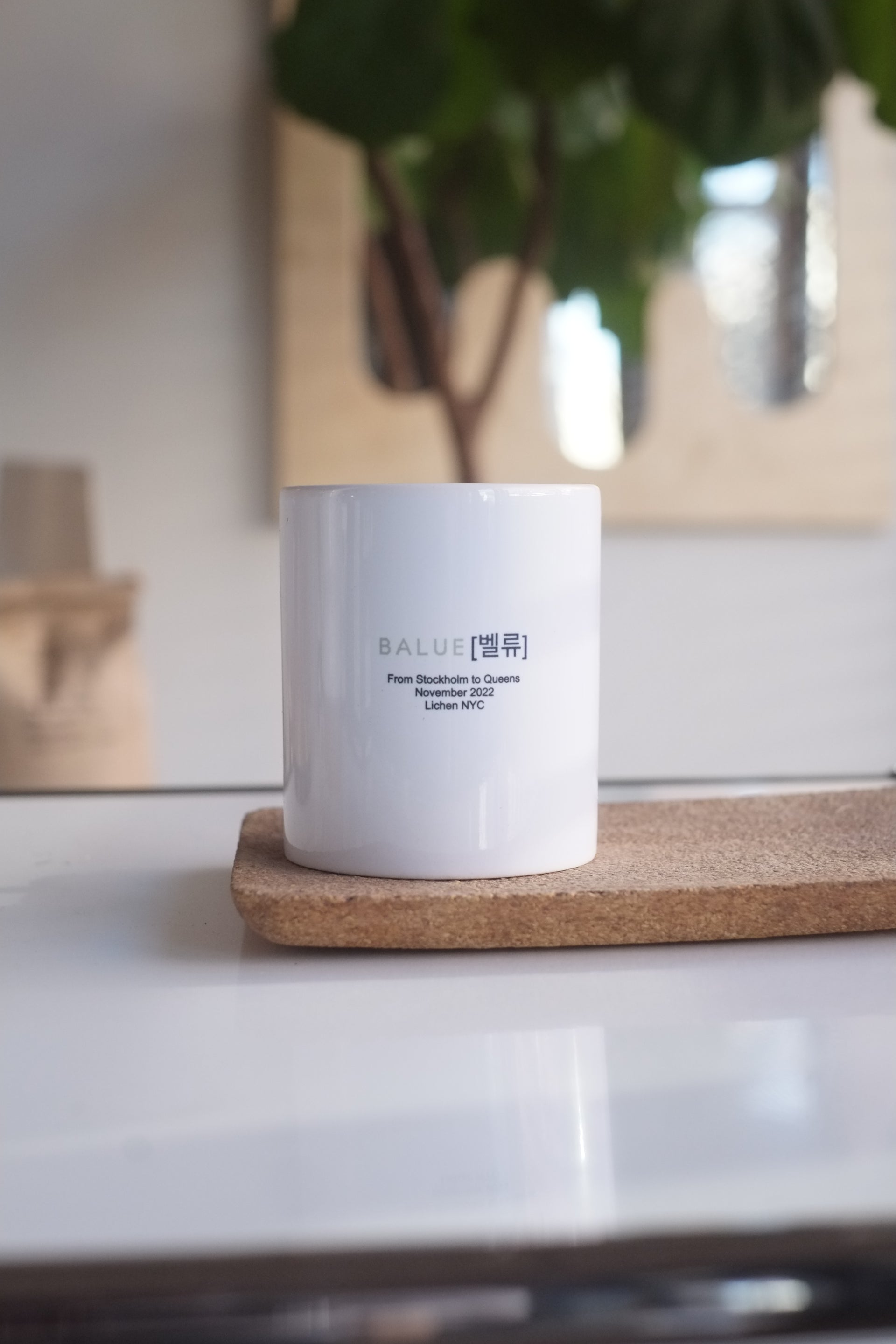 Balue Stockholm x Lichen NYC mug