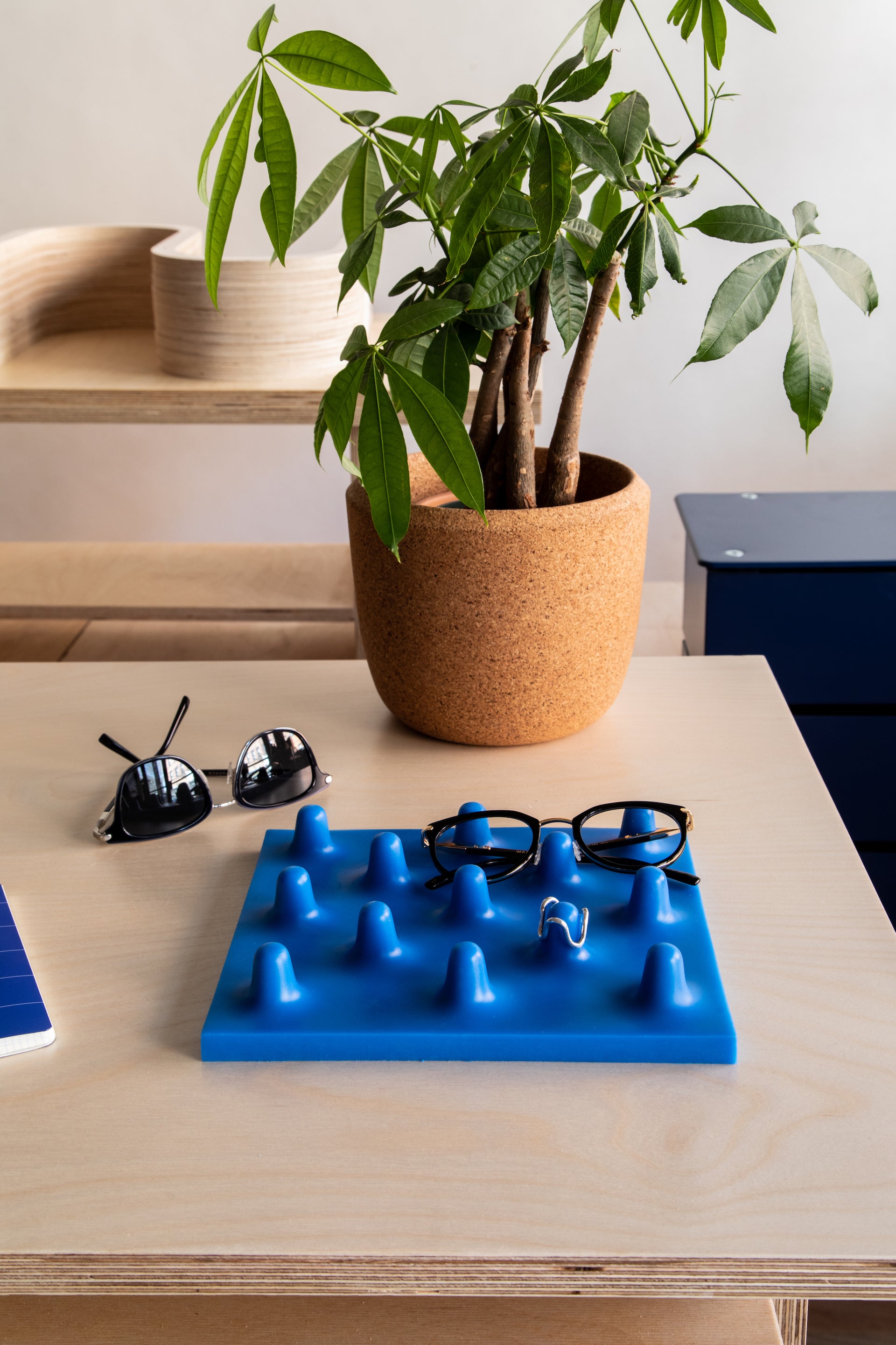 Lichen x Warby Parker Eyeware Tray