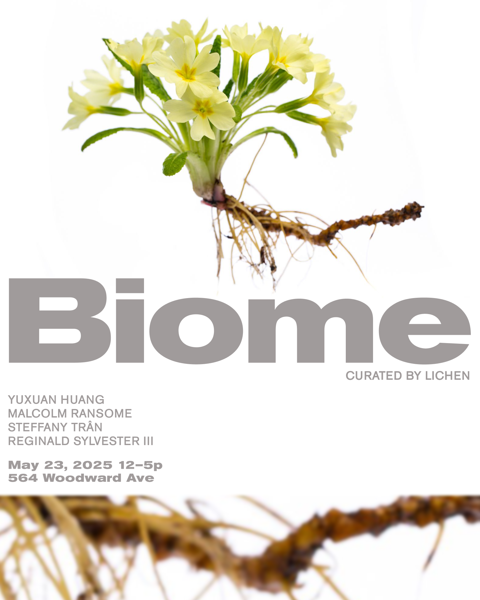 BIOME 25' Showcase, Queens NY