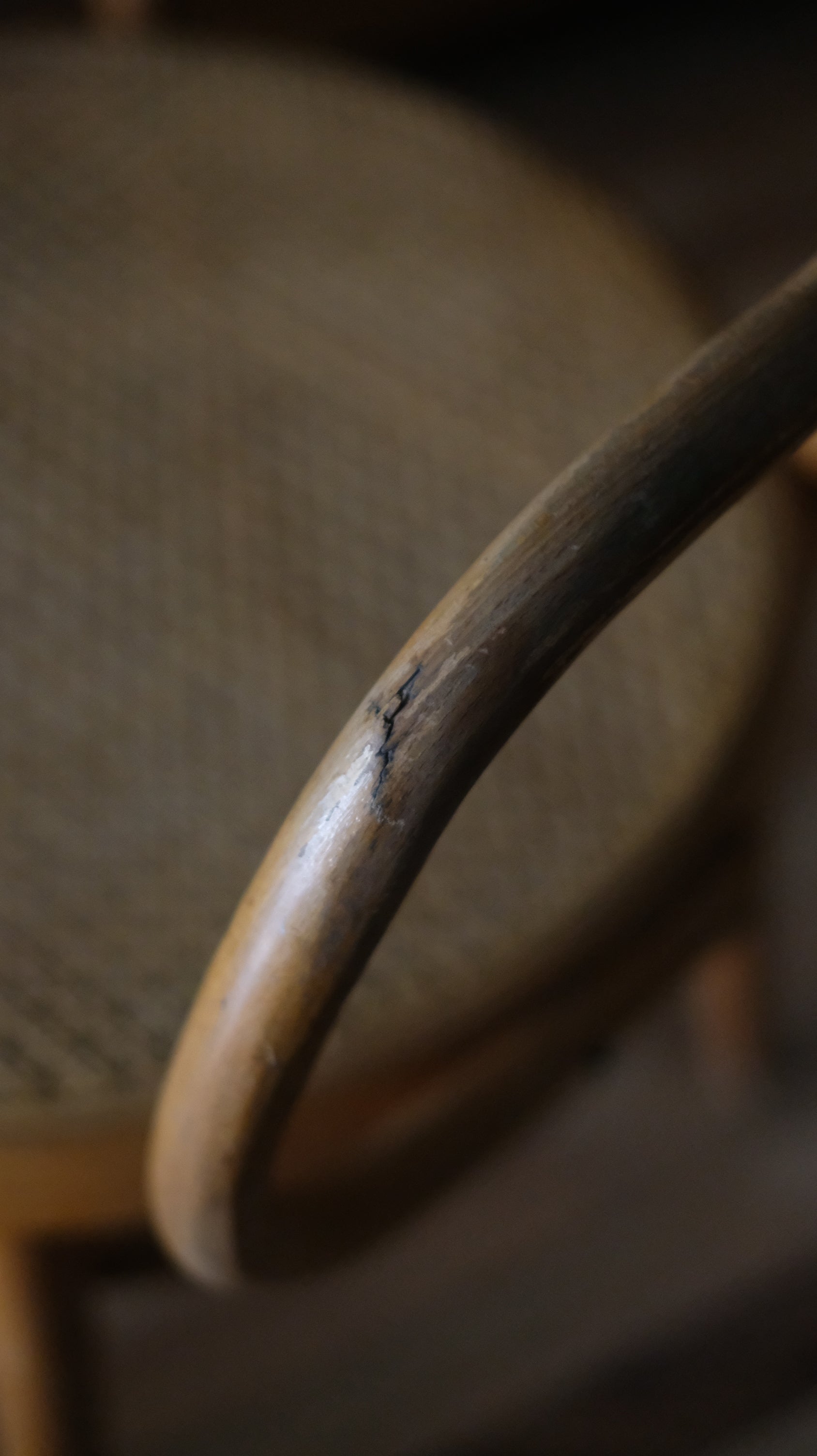 B9 Bentwood Arm Chair by Thonet (Price per)