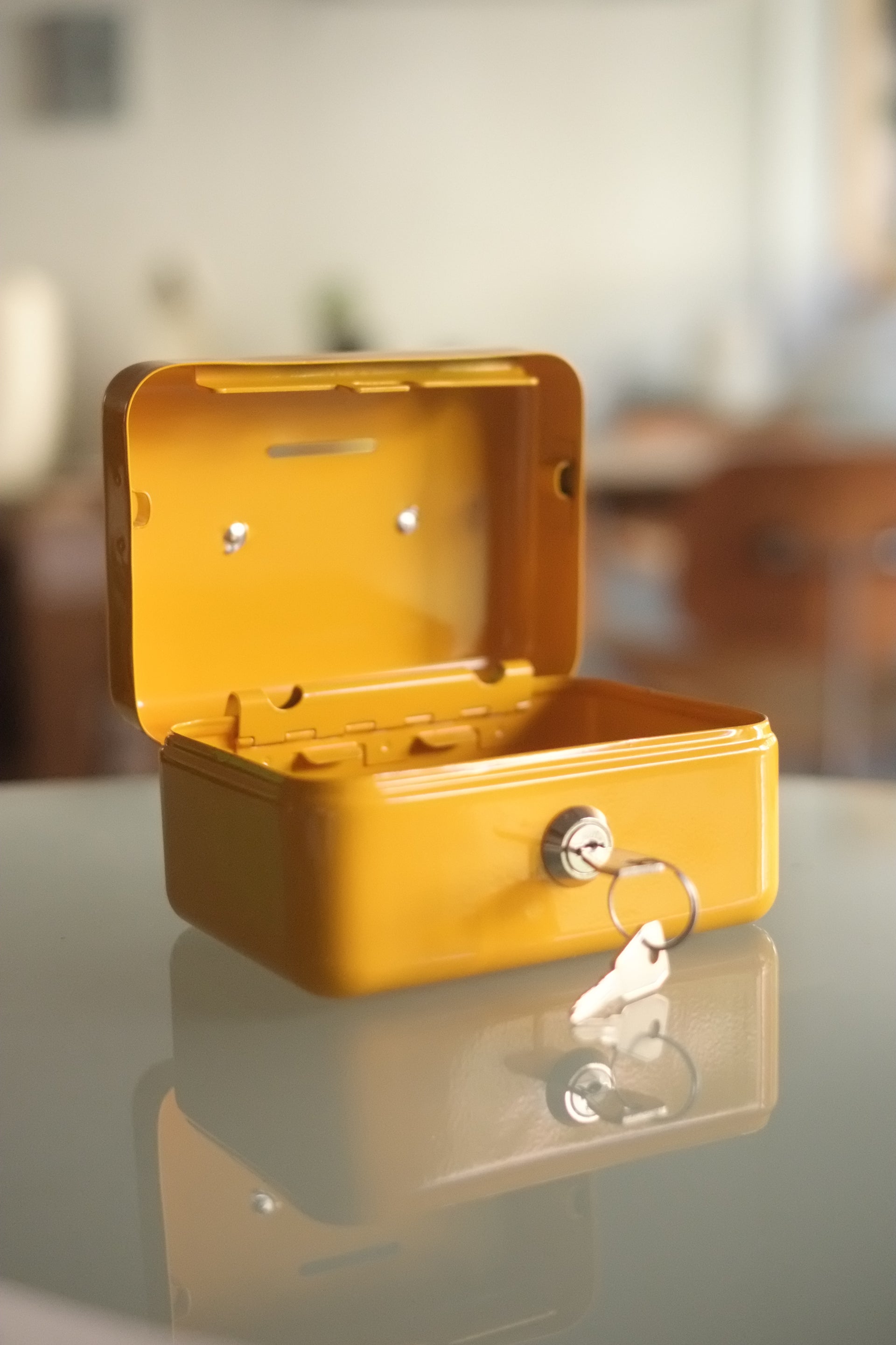 Metal Money Boxes
