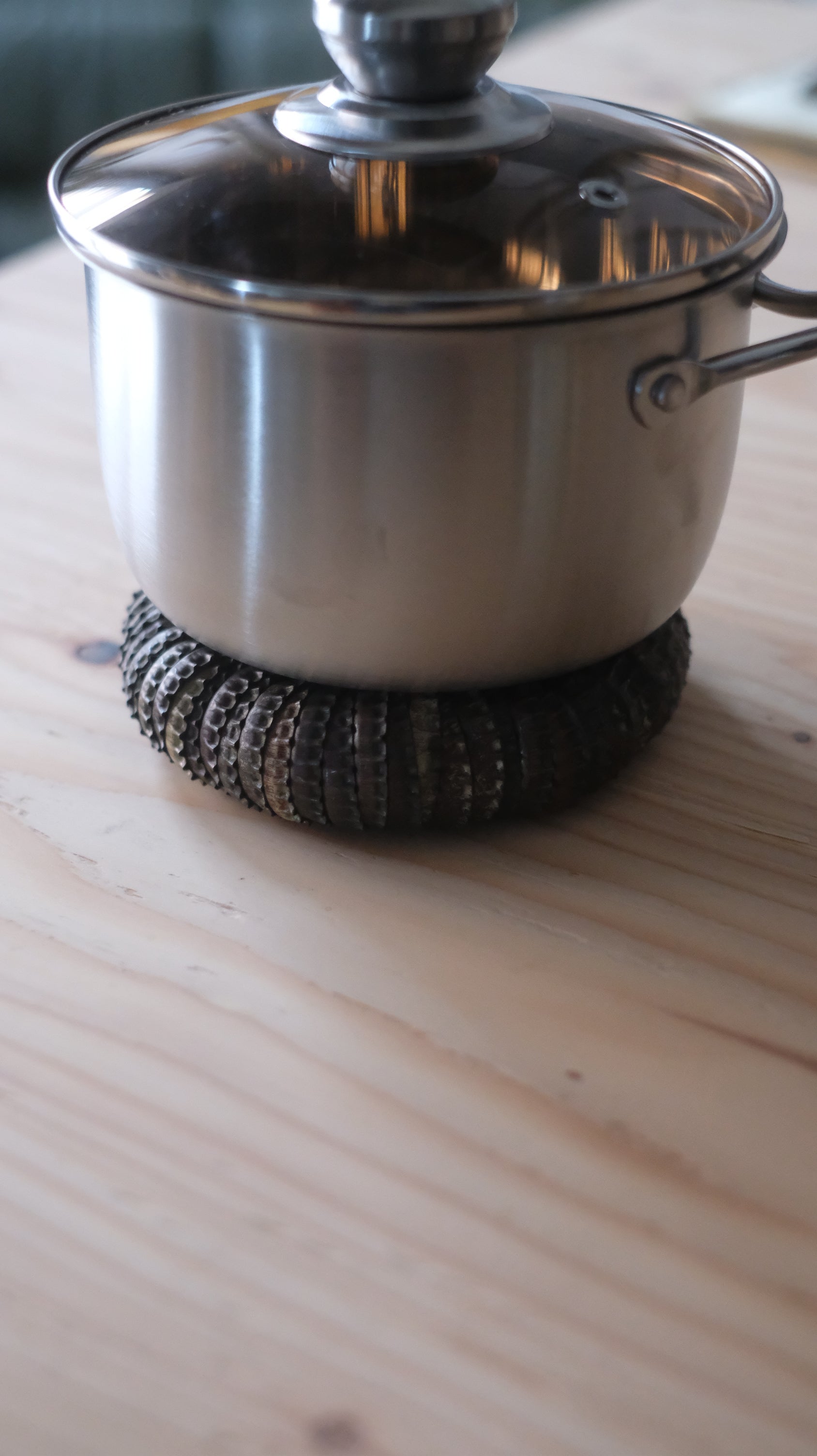 Bottle Cap Trivet