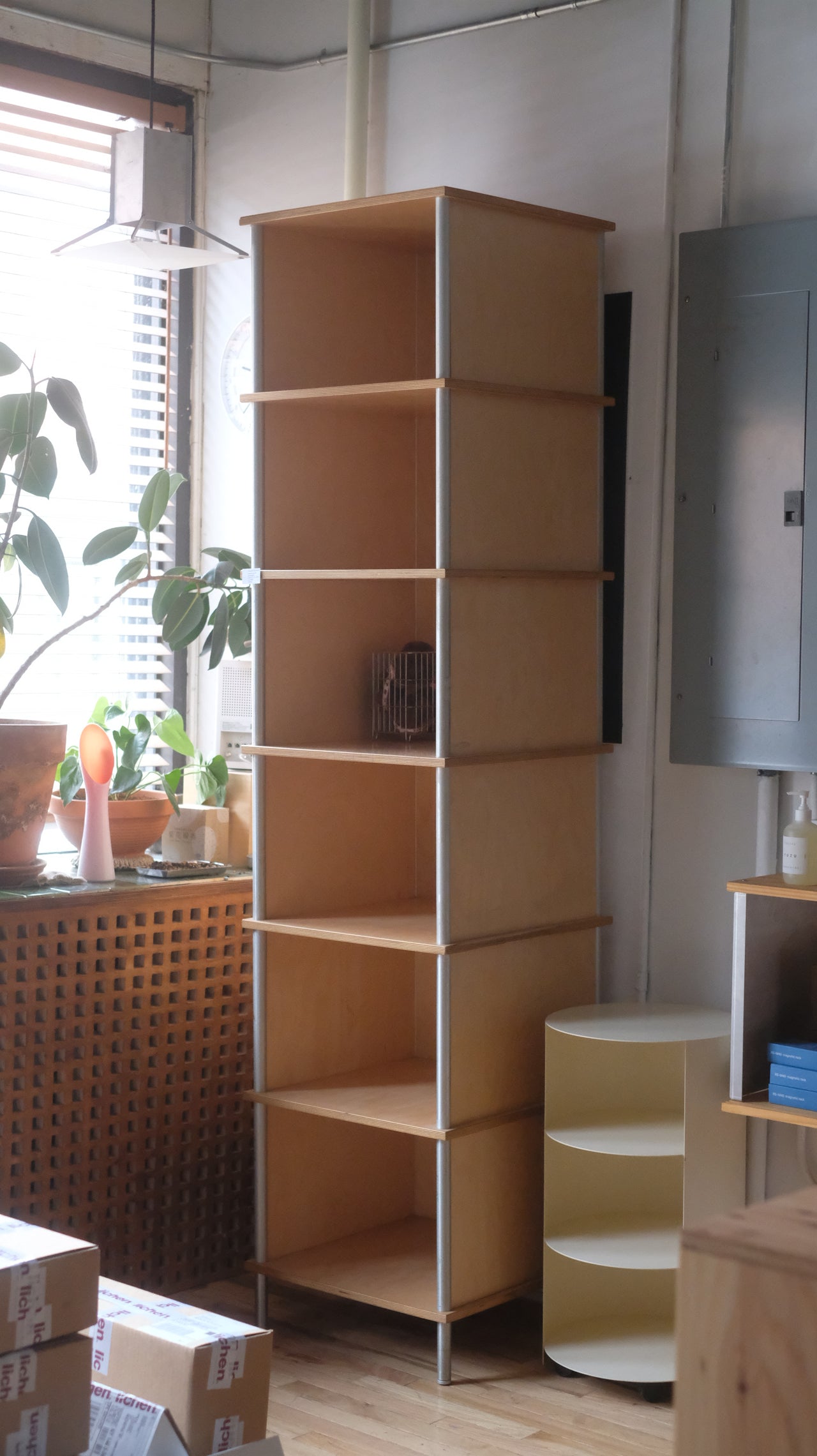 Custom Plywood Bookcase