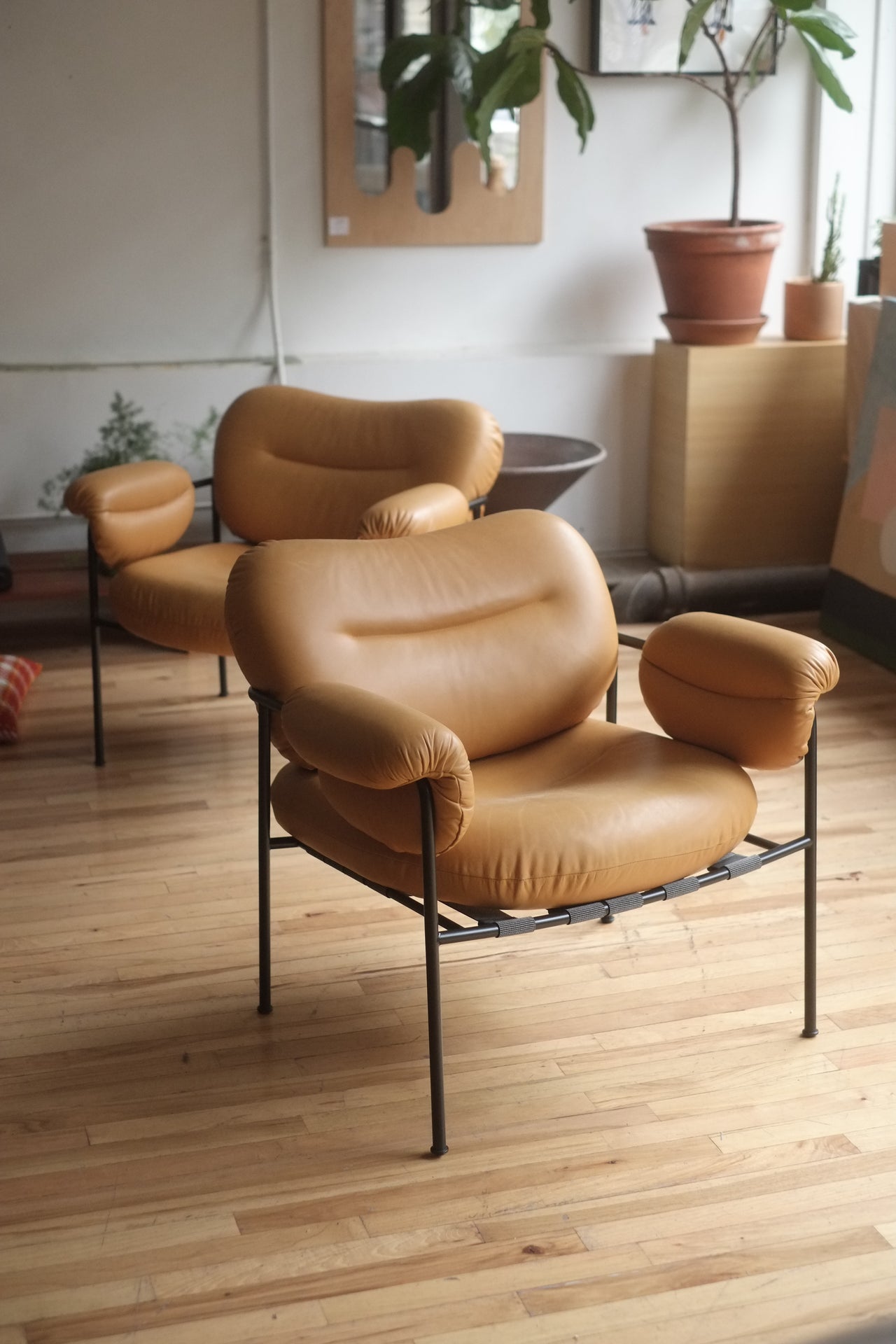 Fogia Bollo Armchair (Set of 2)