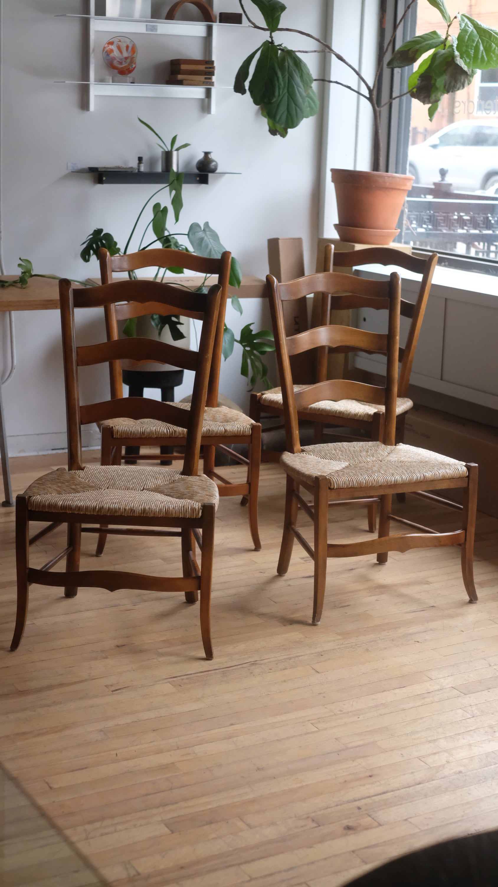 French Provicial Style Dining Chairs (Set of 4)