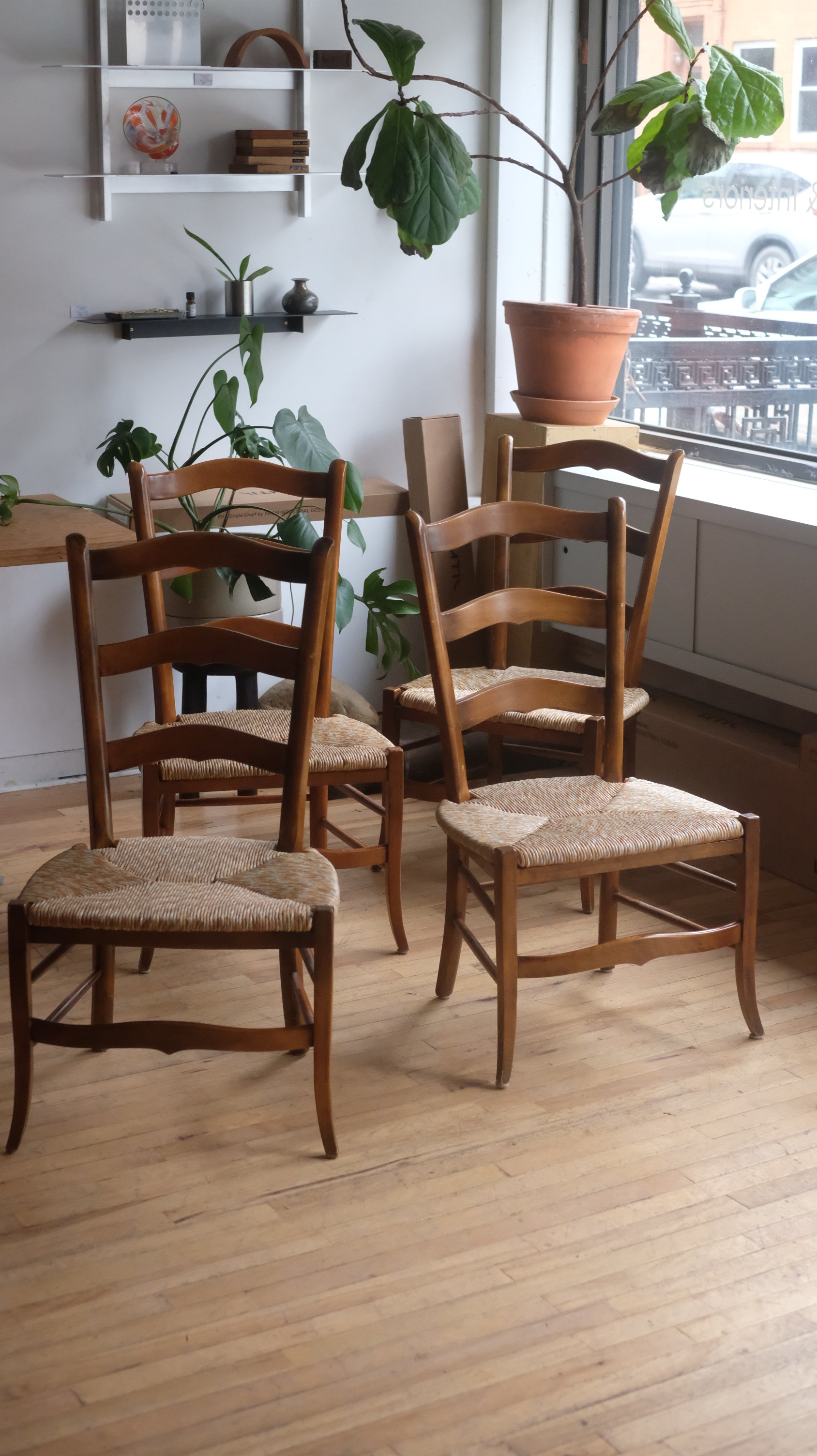 French Provicial Style Dining Chairs (Set of 4)