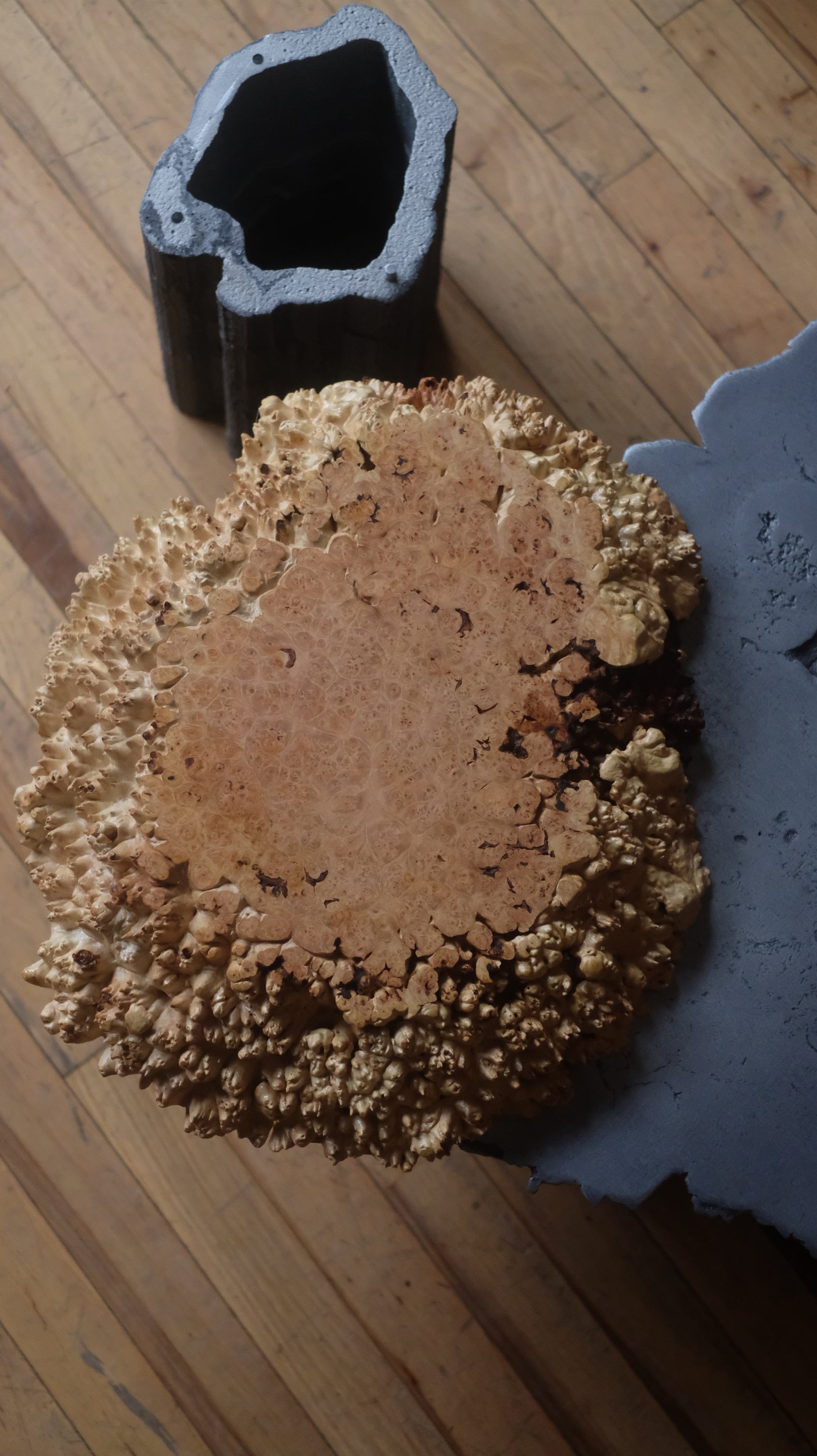 The Burl Table by Bumki Song (Sold Separately)