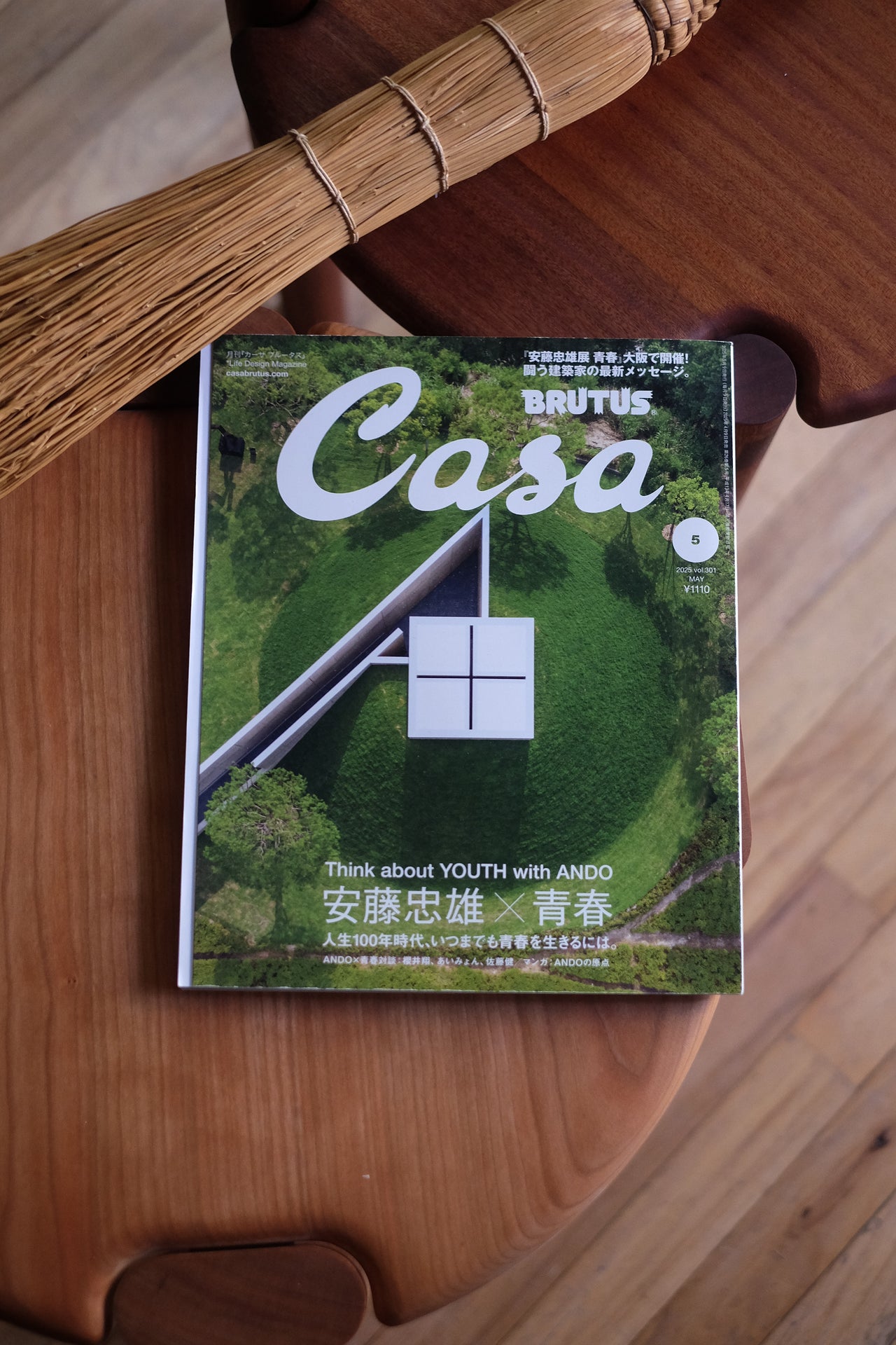 Casa Brutus Magazine : Ando Tadao x Seishun