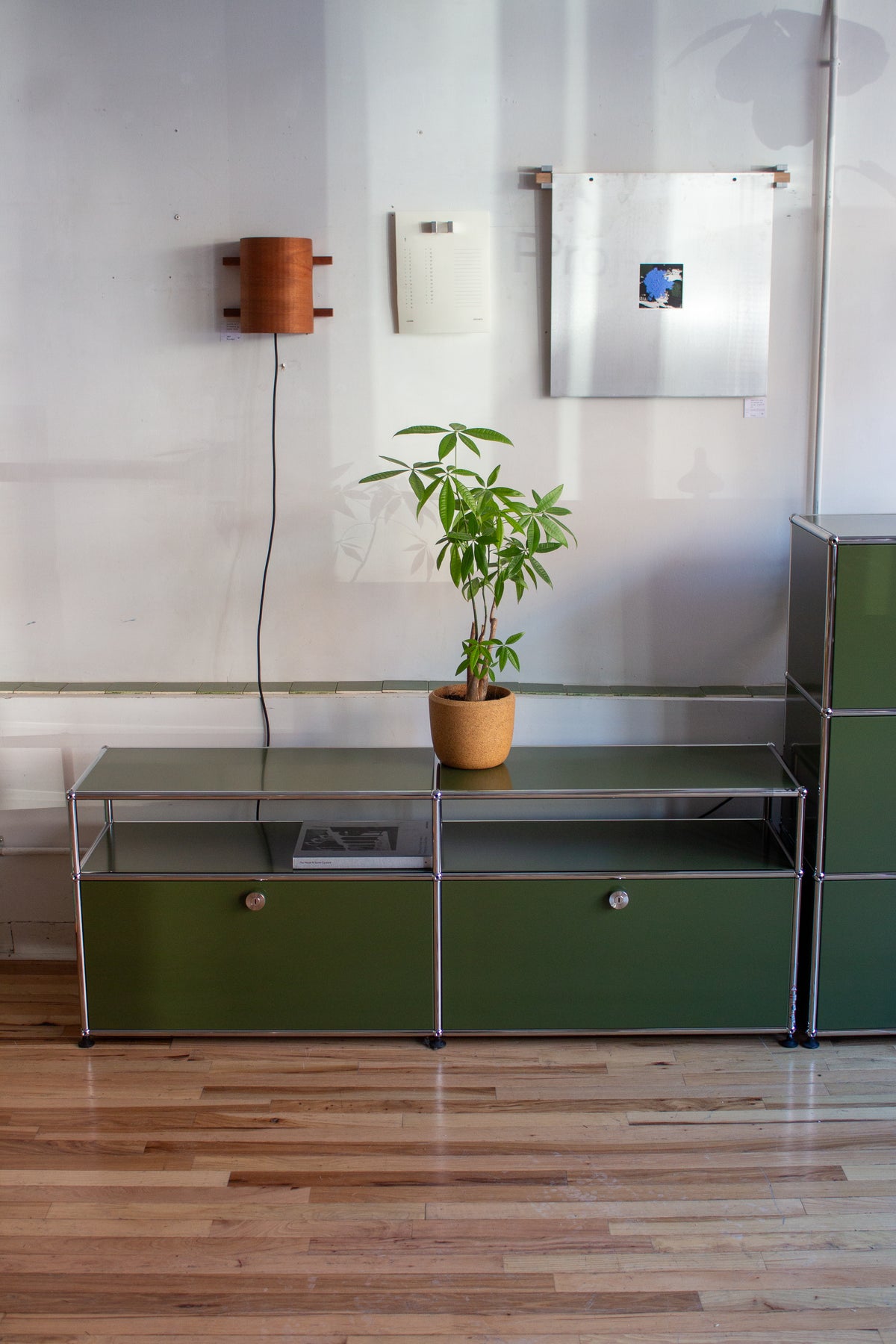 Recent Additions - page- lichennyc