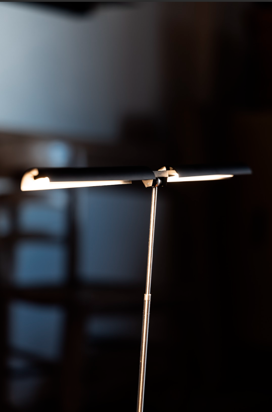 Ramulus Lamp by Onibi