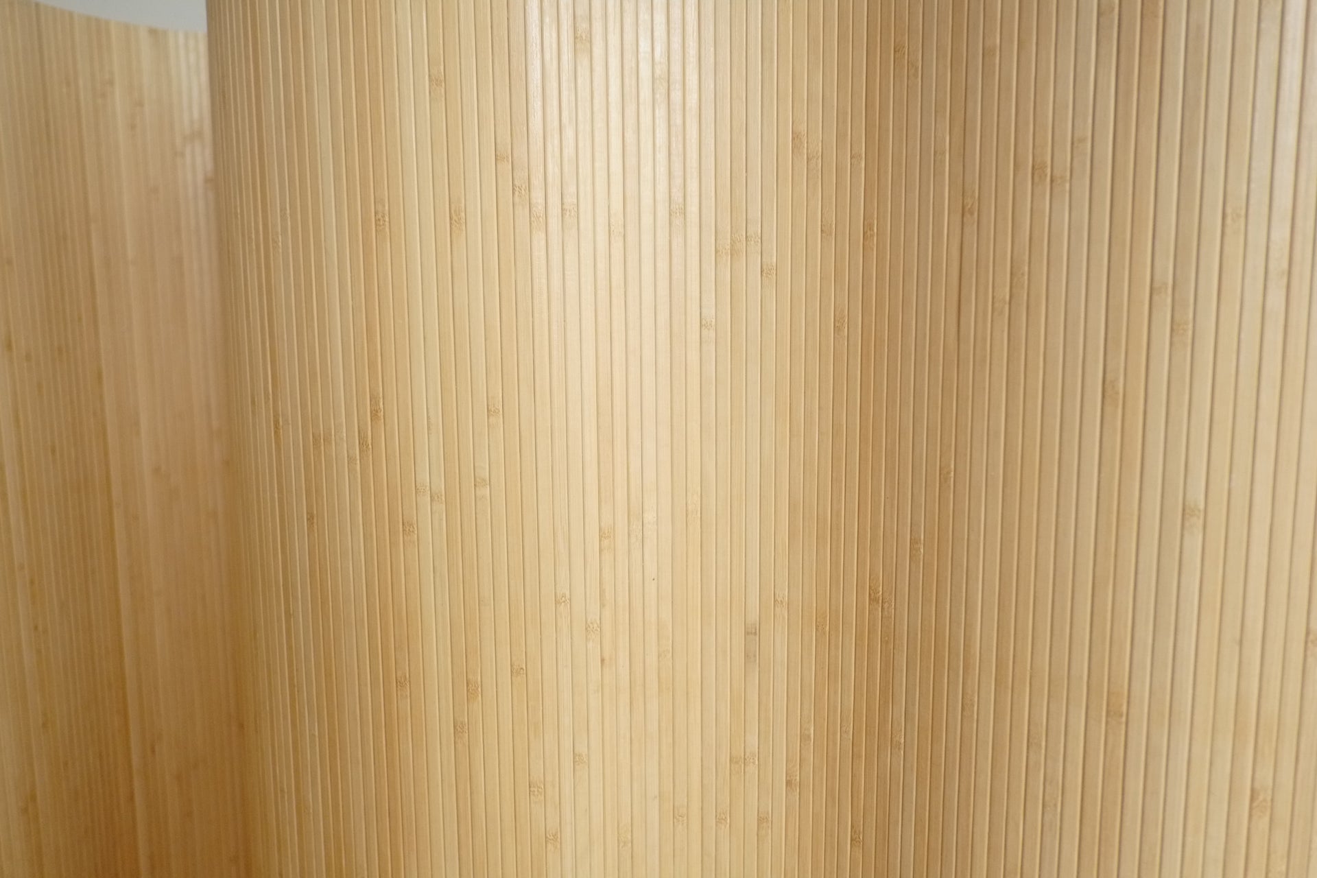 Bamboo Room Divider in HONEY