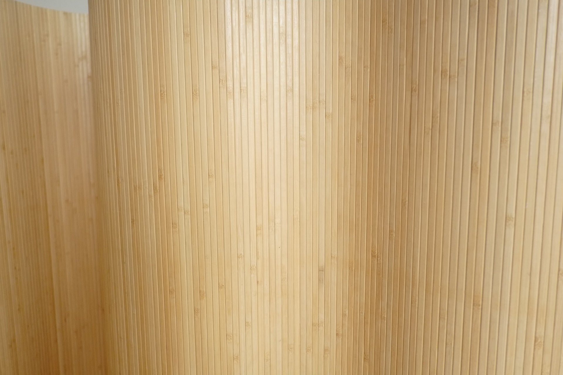 Rent: Bamboo Room Divider in HONEY