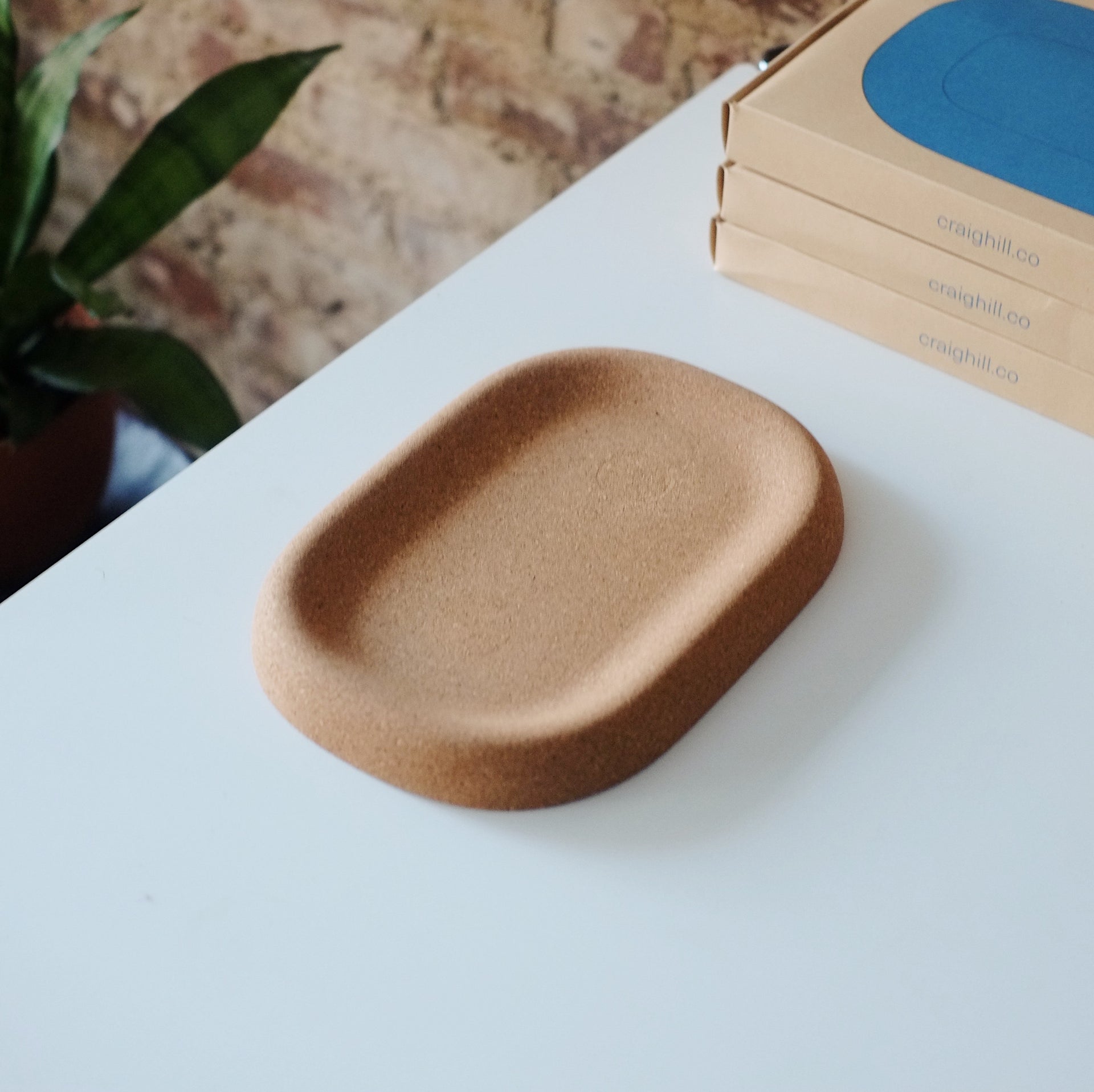 Little Cloud Tray by Craighill